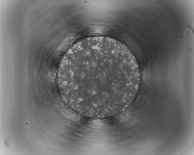 X0000103930423200810031303