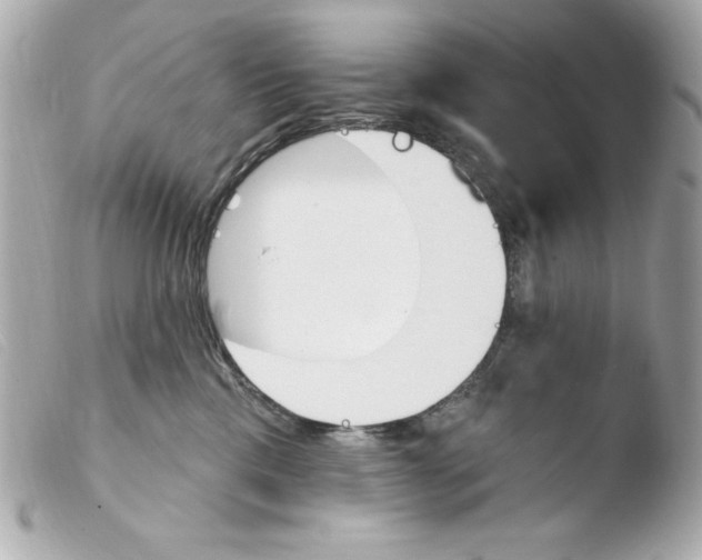 X0000103930425200810031303