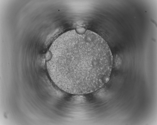 X0000103930427200810031303