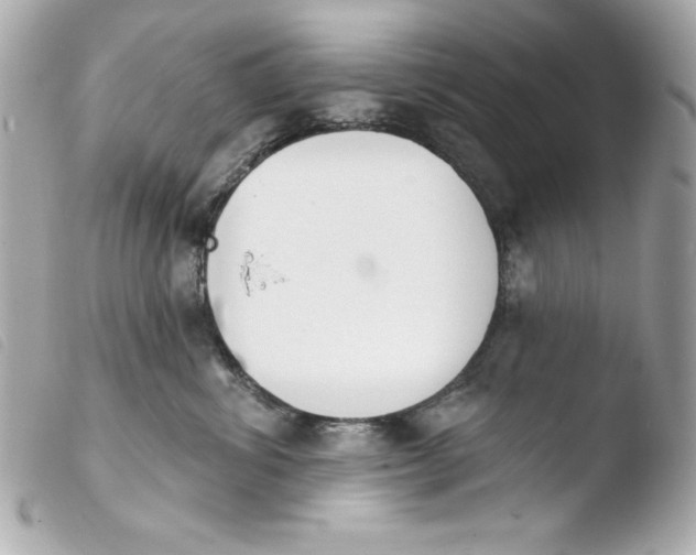 X0000103930428200810031303