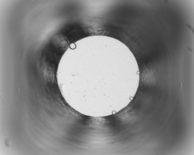 X0000103930429200810031303