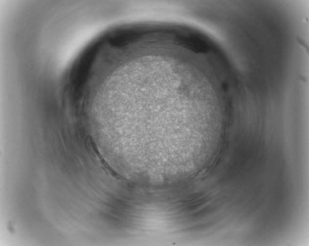 X0000103930431200810031303