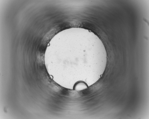 X0000103930432200810031303