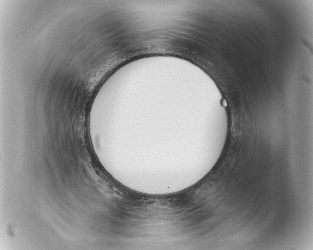 X0000103930434200810031303