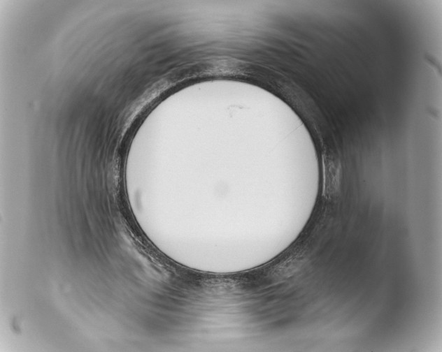 X0000103930435200810031303