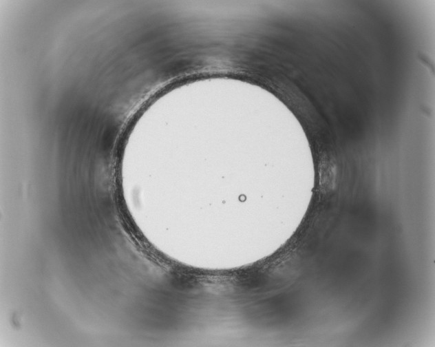 X0000103930436200810031303