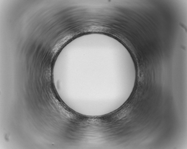 X0000103930437200810031303