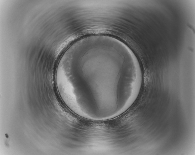 X0000103930438200810031303