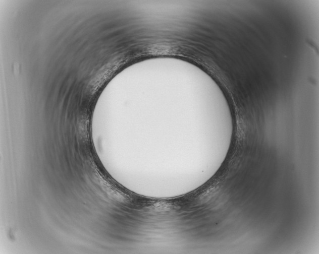 X0000103930441200810031303