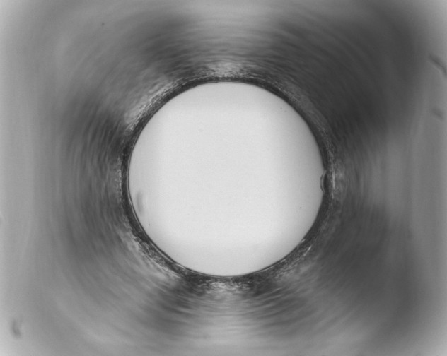 X0000103930442200810031303