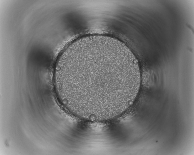 X0000103930444200810031303