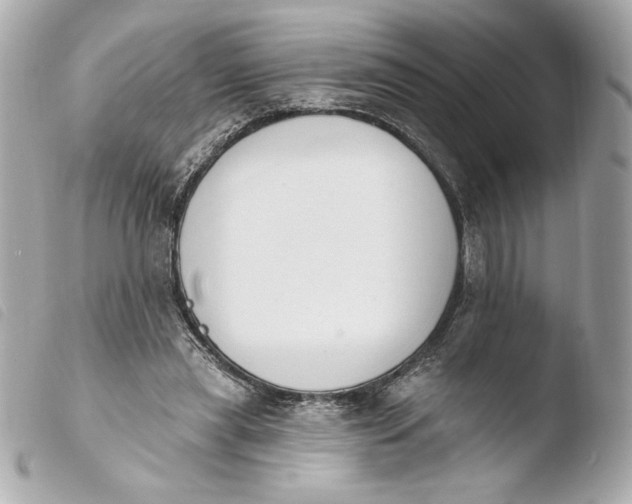 X0000103930445200810031303