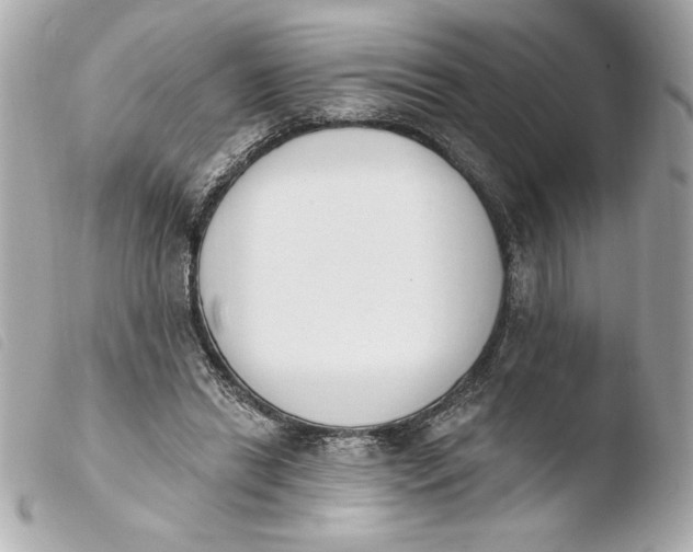 X0000103930446200810031303