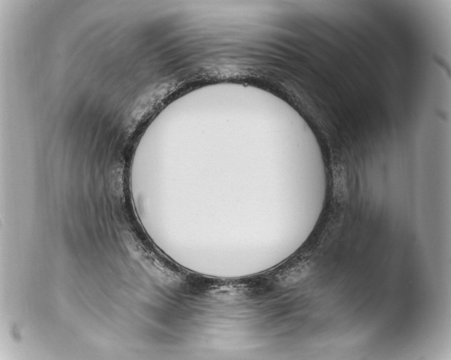 X0000103930447200810031303