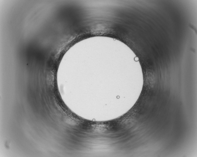 X0000103930448200810031303