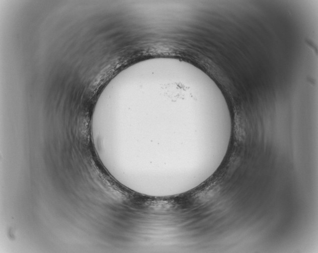 X0000103930449200810031303