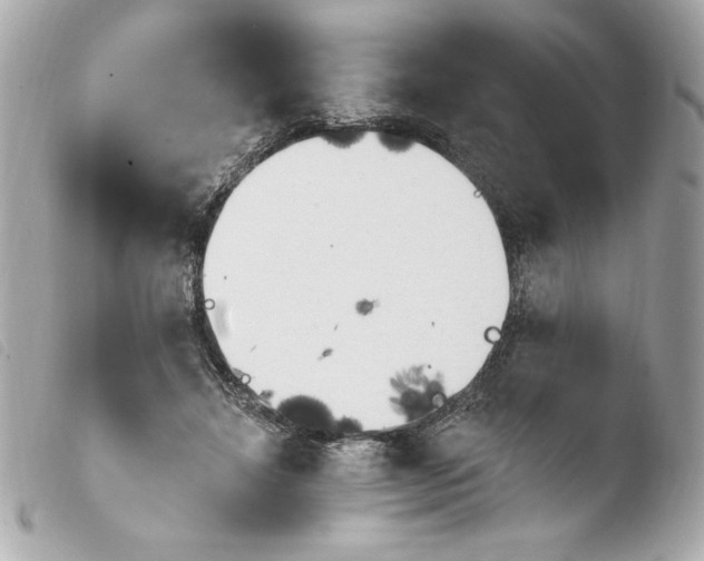 X0000103930452200810031303