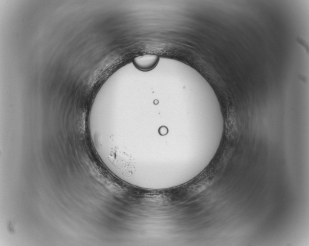 X0000103930454200810031303