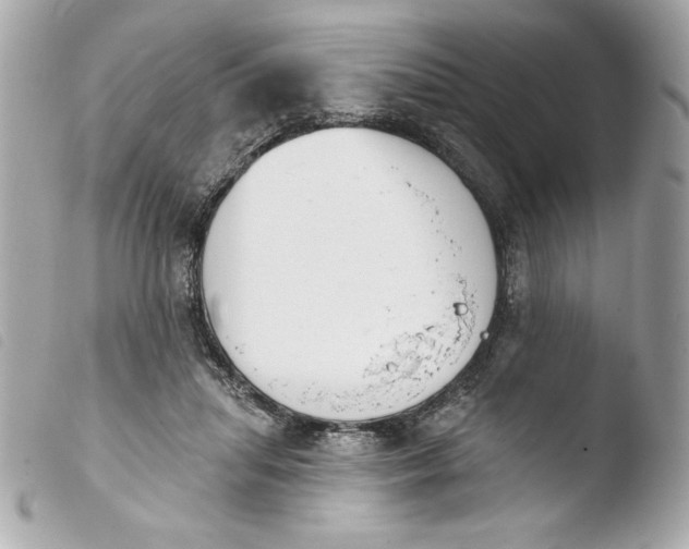 X0000103930455200810031303