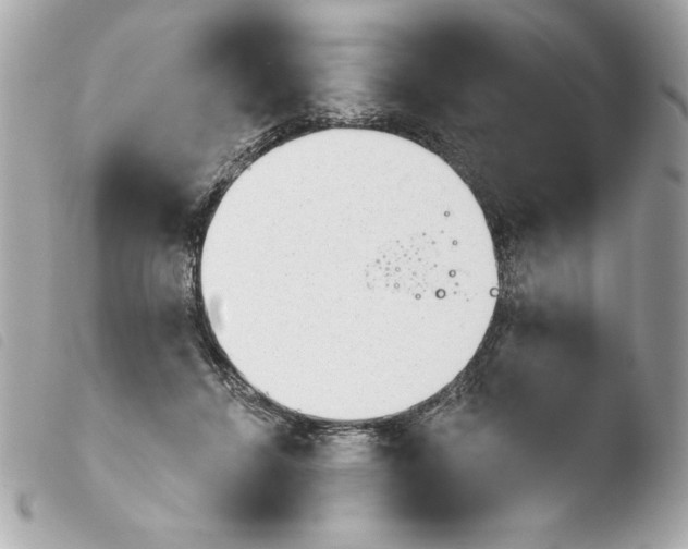 X0000103930456200810031303