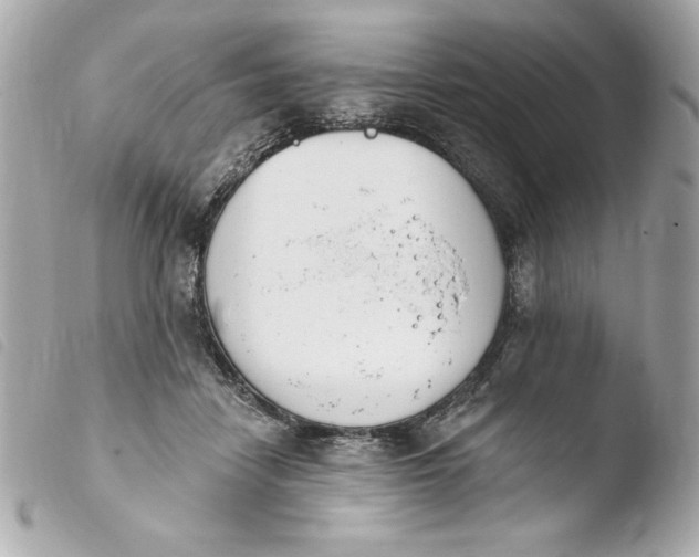 X0000103930458200810031303