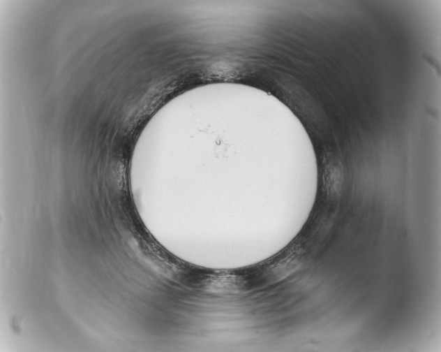 X0000103930459200810031303