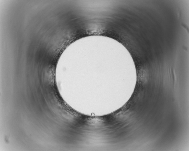 X0000103930460200810031303