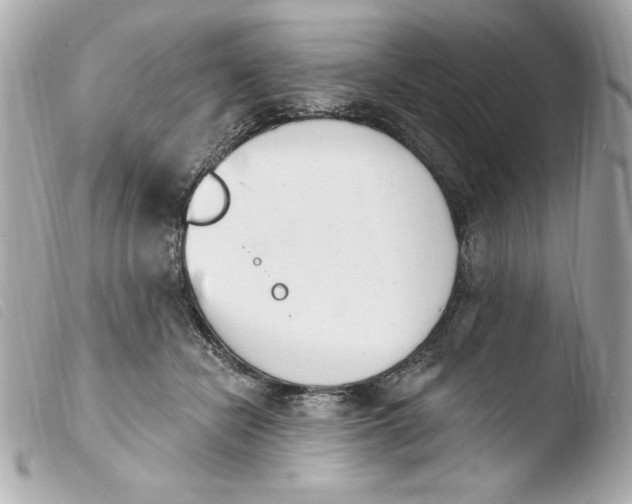 X0000103930462200810031303