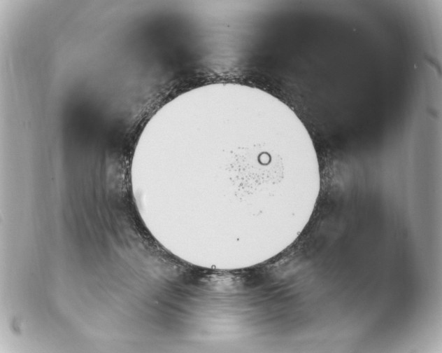 X0000103930464200810031303