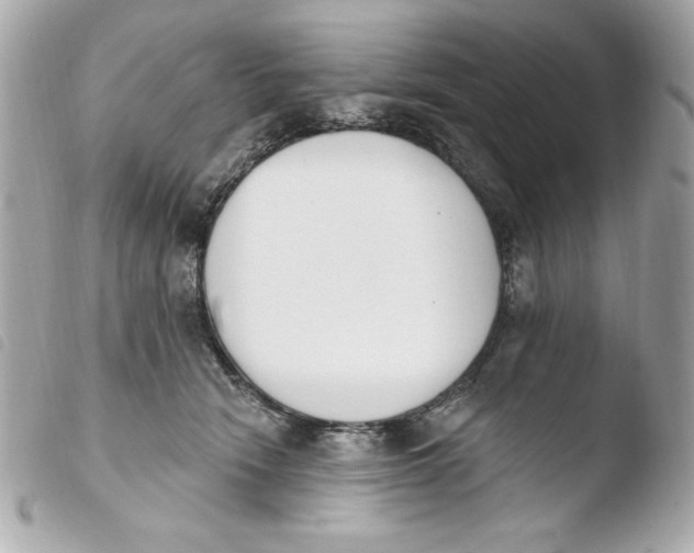 X0000103930466200810031303