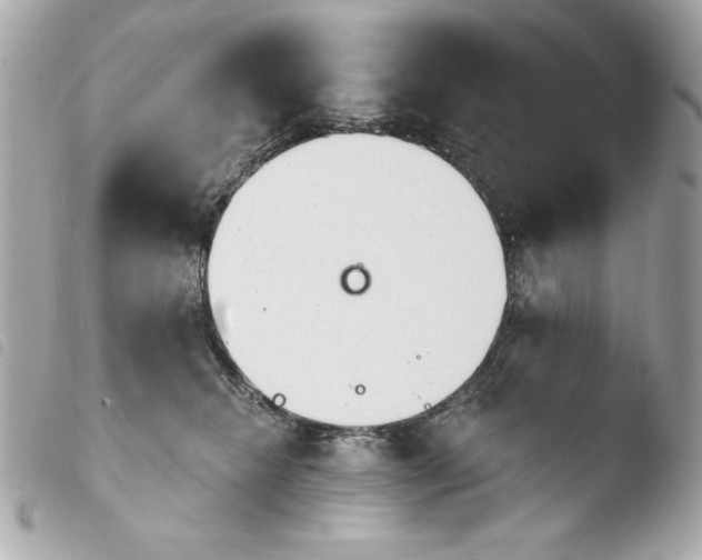 X0000103930468200810031303