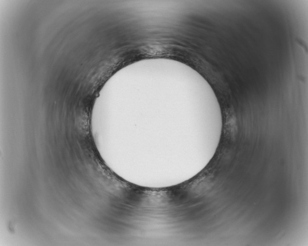 X0000103930469200810031303