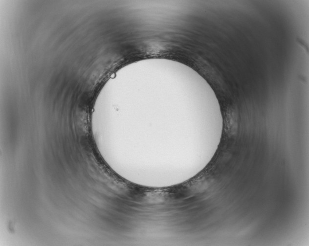 X0000103930470200810031303