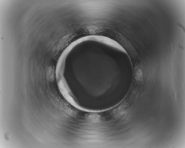 X0000103930471200810031303