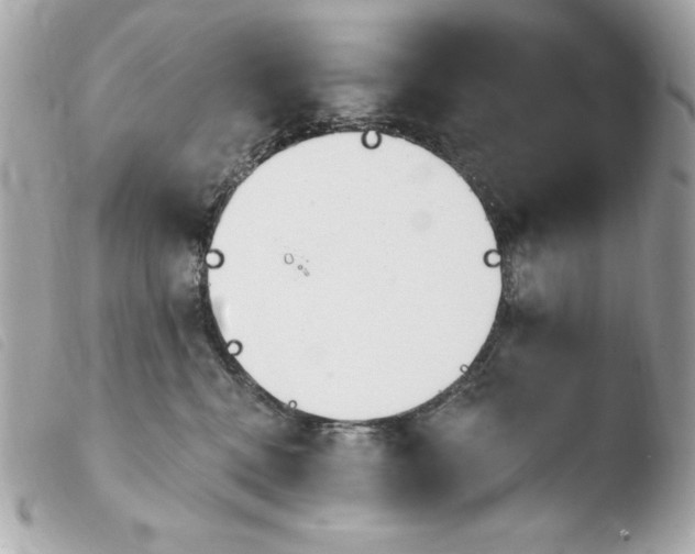 X0000103930472200810031303