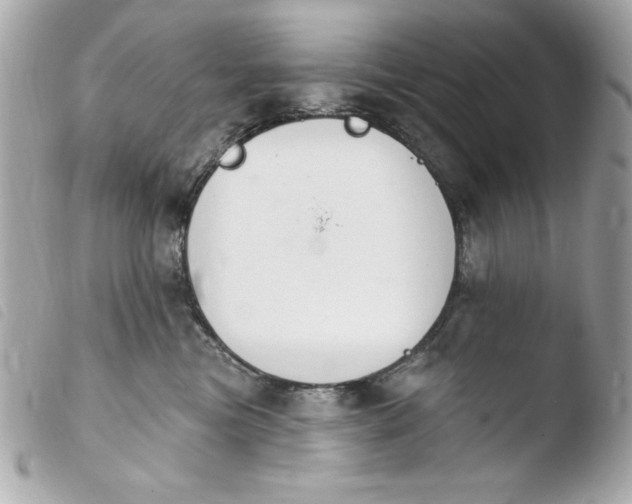 X0000103930473200810031303