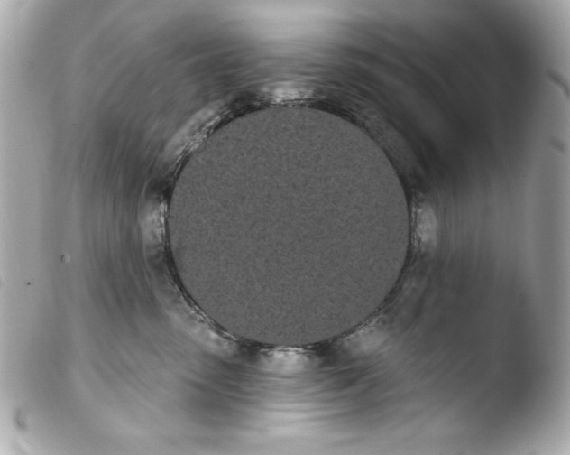 X0000103930475200810031303