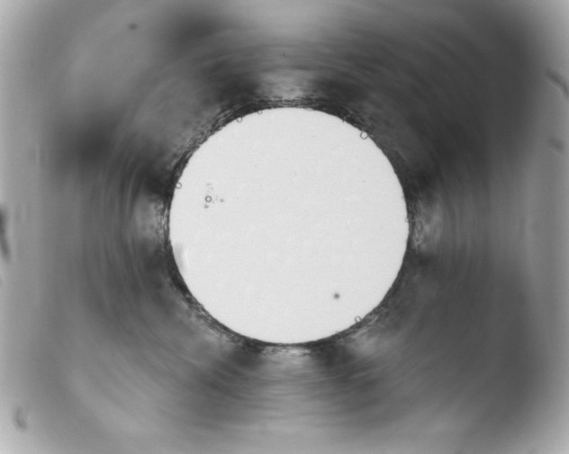 X0000103930476200810031303