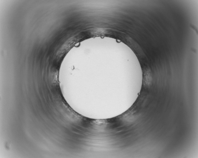 X0000103930477200810031303