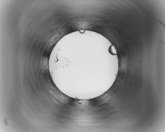 X0000103930478200810031303