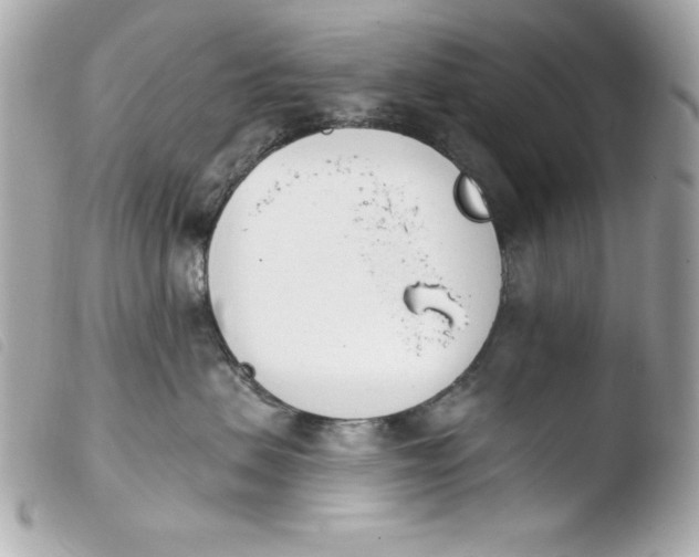 X0000103930479200810031303