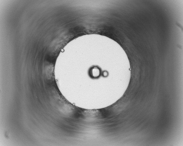 X0000103930480200810031303