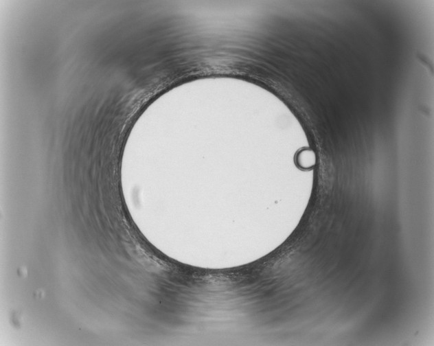 X0000103930481200810031303