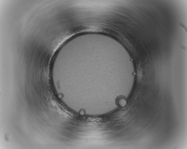 X0000103930484200810031302