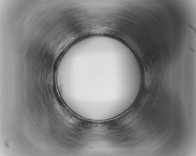 X0000103930486200810031302