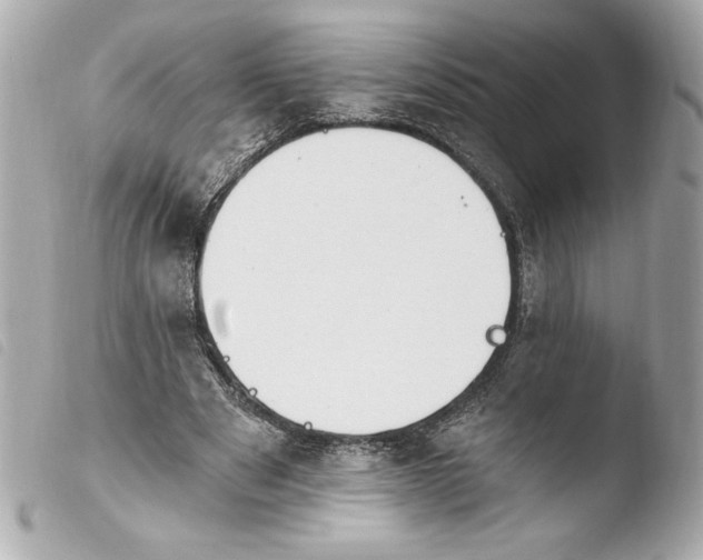 X0000103930489200810031302