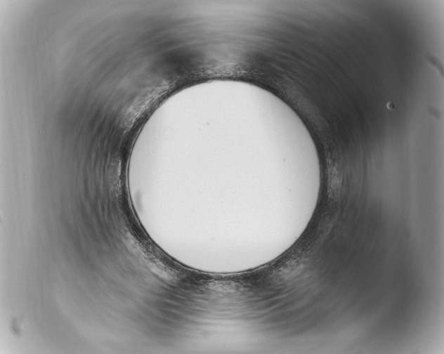 X0000103930490200810031302