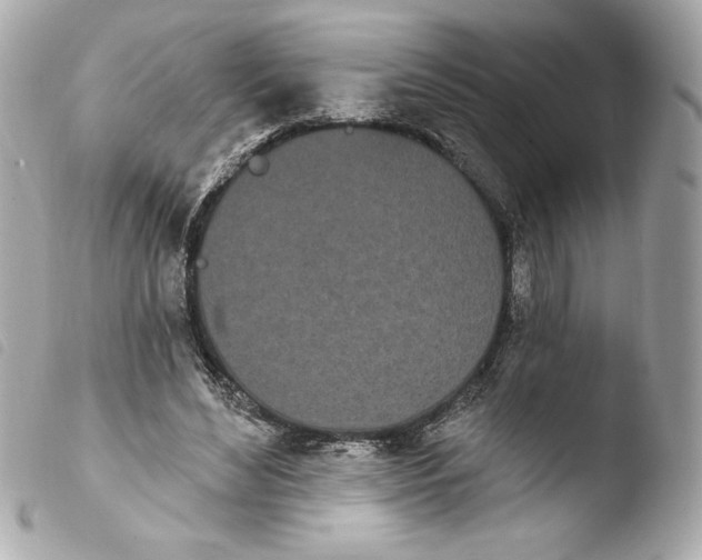 X0000103930492200810031302