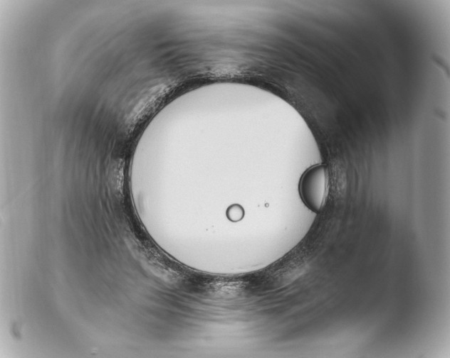 X0000103930495200810031302