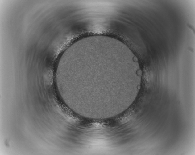 X0000103930496200810031302